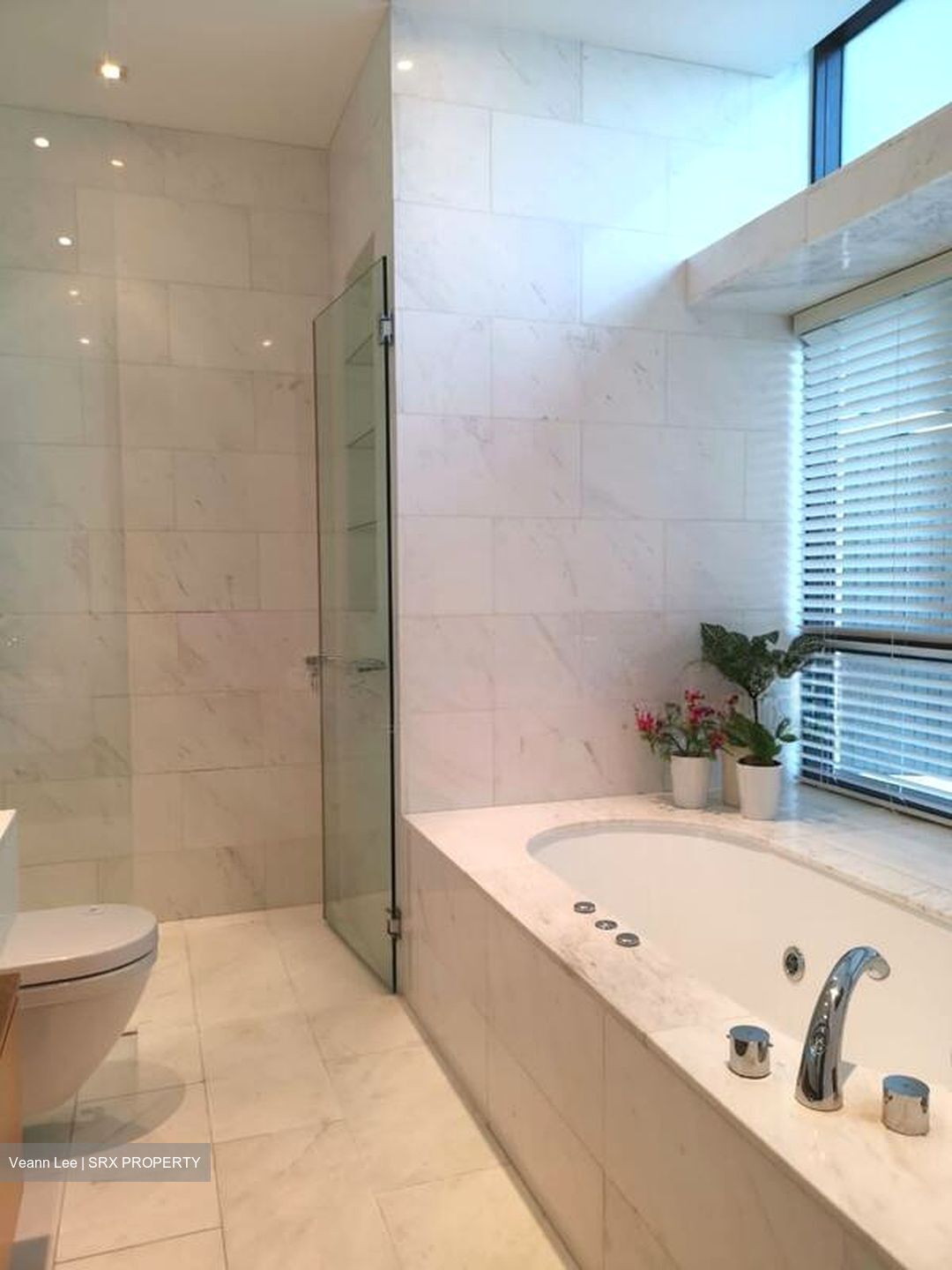 Belle Vue Residences (D9), Condominium #502715861